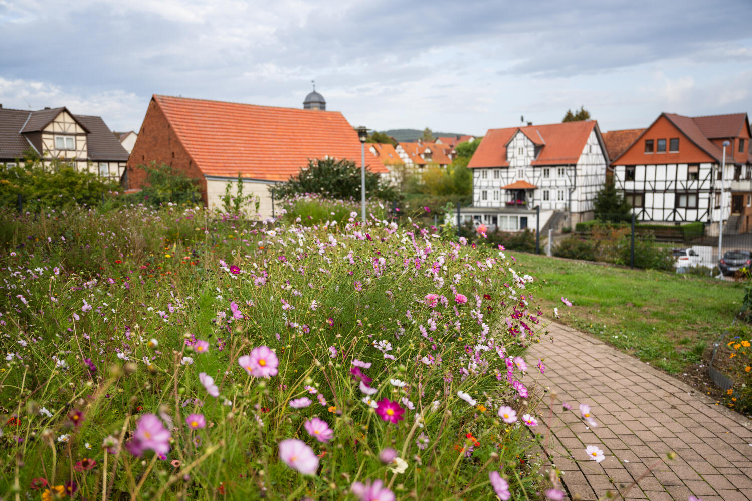 Im Vordergrund blühendes Blumenbeet. Rechts ein gepflasterter Weg mit Blick ins Dorf mit Fachwerkhäusern.