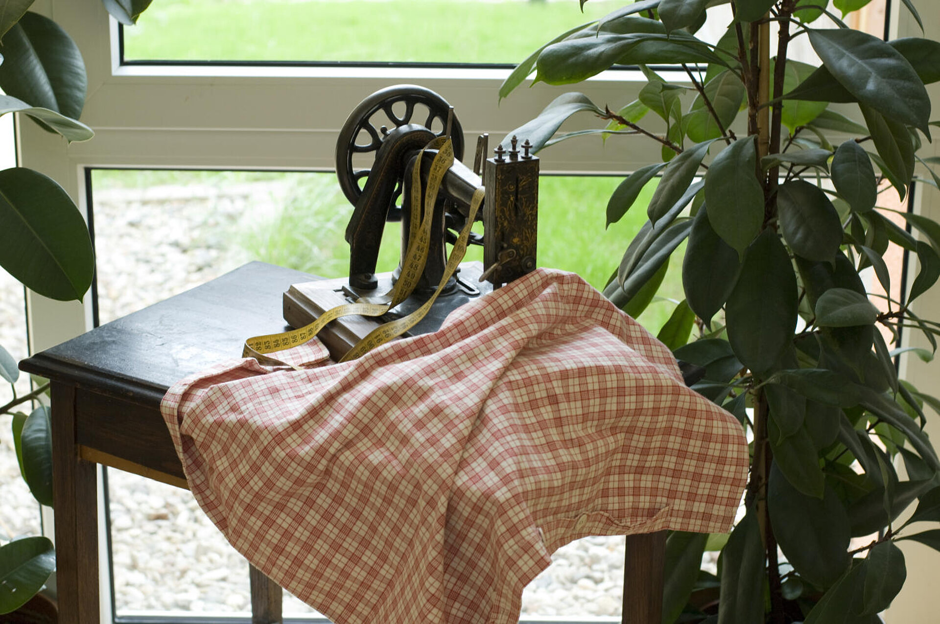 Vor einem Fenster steht ein dunkelbraunes Tischchen, eingerahmt von zwei Grünpflanzen. Auf dem Tisch eine "altmodische" Nähmaschine, die zur Häfte von einem rotkariertem Tuch bedeckt ist. Zusätzlich hängt dort ein ausgerolltes, elastisches Zentimetermaß.