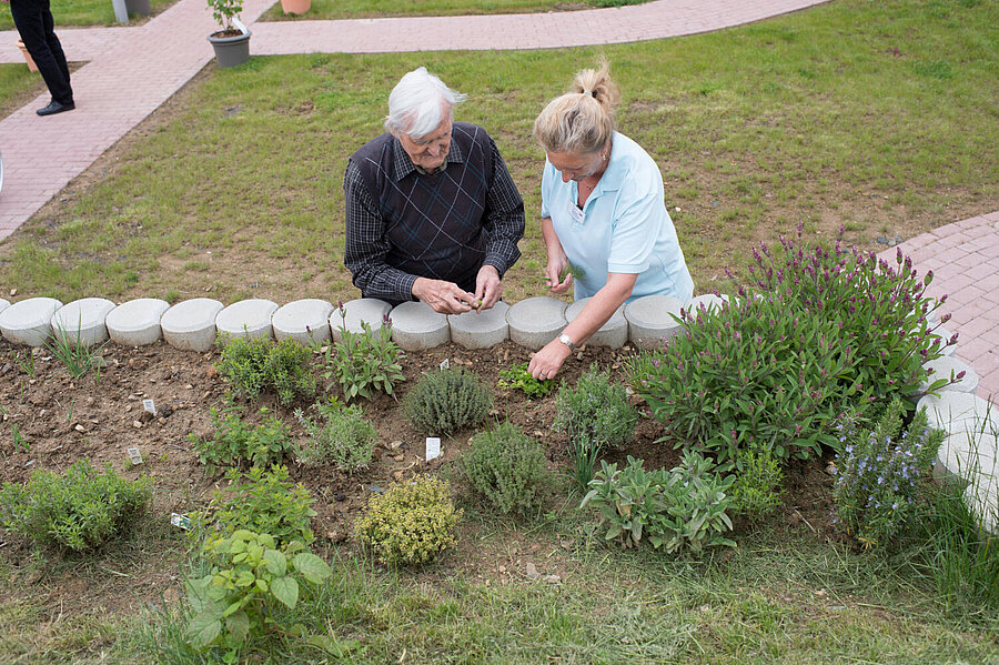 Jüngere Frau und älterer Mann stehen vor einem Hochbeet mit unterschiedlichen Pflanzen. Entweder ernten oder säubern sie.